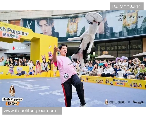 广州街舞队勇夺最新街舞耐力TOP10榜首引领潮流