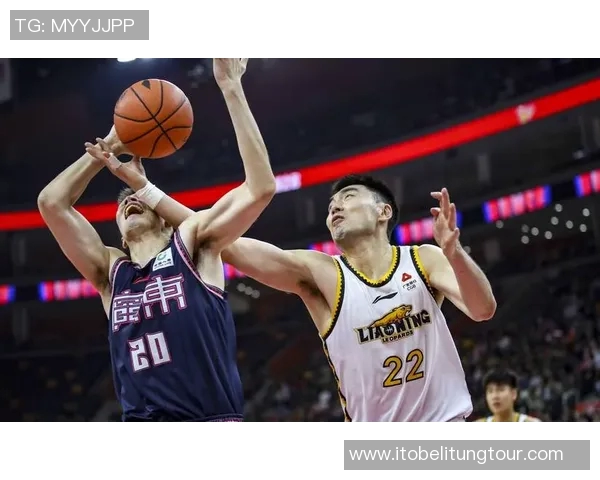 广东与辽宁篮球对决数据分析全面解读与赛季表现对比