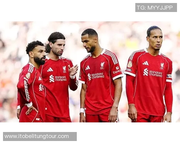 探索索博斯洛伊的历史与文化魅力，揭示其在当代的独特价值与影响力