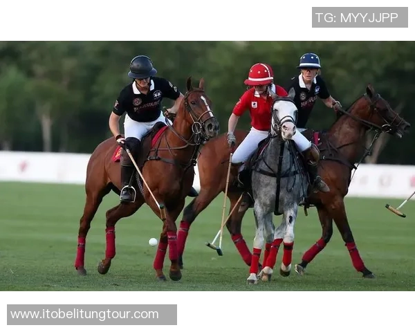 智利大学与康塞大学的精彩对决分析及赛事回顾