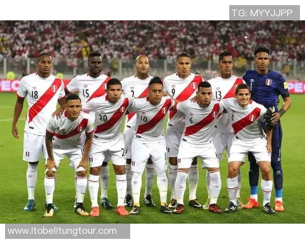 福冈黄蜂对阵金泽塞比分揭晓精彩瞬间回顾与分析