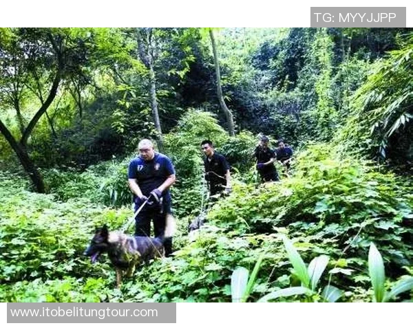 重庆飞盘队荣登全国个人能力排行榜第二名展现出色实力与团队协作