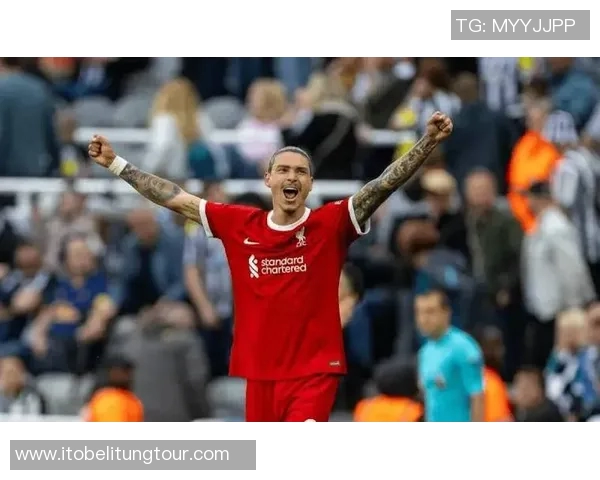 努涅斯在赛季中的精彩表现与未来发展潜力分析